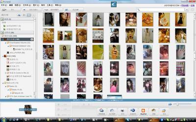 【下载教程】教你如何下载PICASA网络相册内的所有图片 picasa3使用教程
