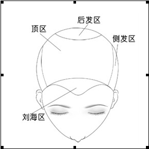 日志[转] 常用发型设计的分区 男生二分区式发型