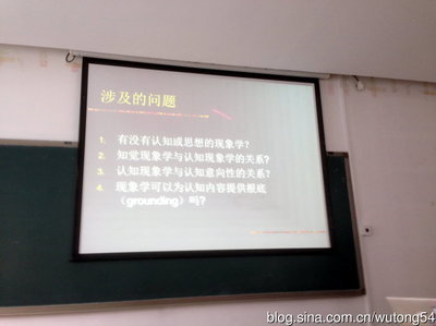 讲座：从知觉现象学到认知现象学_wutong