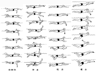 游泳视频下载，游泳入门和初学者教学 游泳教程初学者视频