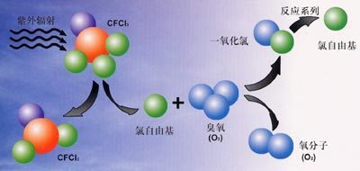 空调冰箱危害着人类的健康 灰尘对人类的危害