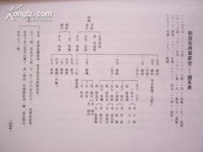 刘放吾将军与缅甸仁安羌大捷 将军的荣耀缅甸攻防战