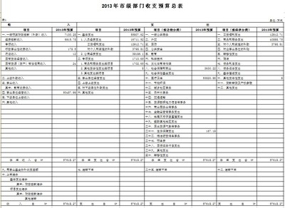 关于费用预算表 行政费用预算表