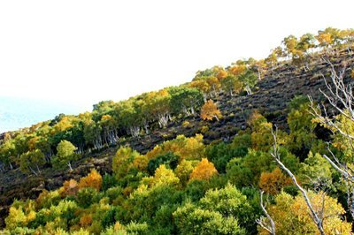 马鞍山 固阳马鞍山