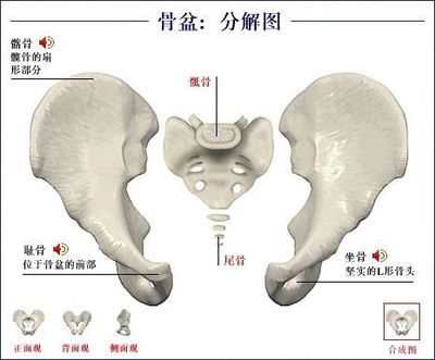 观自在法门:内照形躯