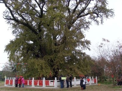 南京浦口名胜古迹风光旅游 南京的名胜古迹