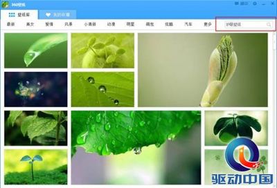 360软件搜索 360软件桌面搜索