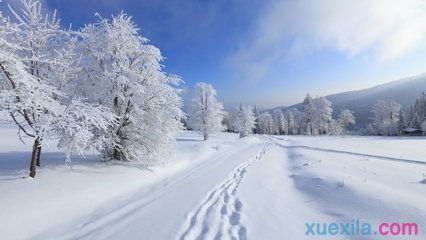 冬天的雪作文 写景作文