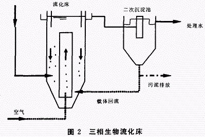 生物流化床综述及研究进展 中国文学研究进展综述