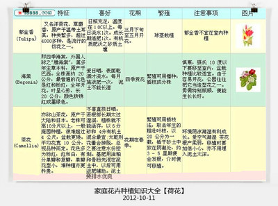 家庭花卉种植保养常识大全 花卉常识