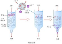 凝胶层析法(凝胶过滤)脱盐和分离蛋白质（转载） 凝胶层析法实验报告