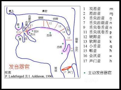 送气音和不送气音 英语送气音和不送气音