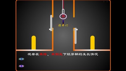 《植物生长素的发现》教学设计及反思 植物生长素的发现教案