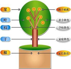 郑委：《父母做对了孩子才优秀》