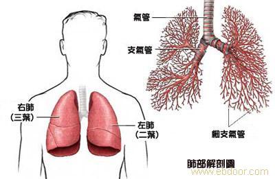 肺癌患者什么时候做化疗最好？ 肺癌患者哪种运动最好