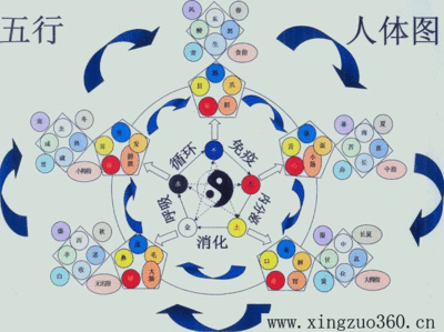 易经学习者【必备图】 【罗盘大全】