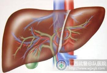 怎样才能让肝脏更好的排毒 怎样给肝脏排毒