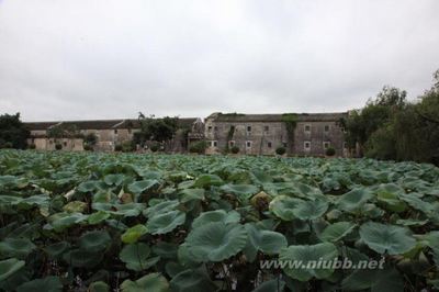 画栋芸窗发古香——重游陈慈黉故居 人大芸窗