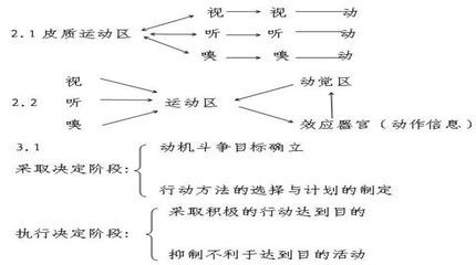 如何培养小学生的良好意志品质 良好意志品质的培养