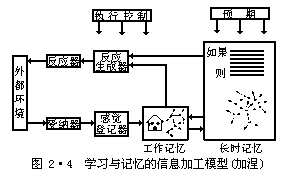 认知学习理论之信息加工学习理论