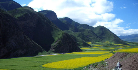 倒淌河（又名《太平洋探戈》） 日月山.倒淌河