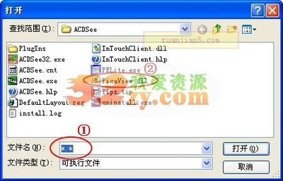 acdsee 3.1插件IDE_ACDStd.apl错误的解决方法 acdsee 3.1 绿色版