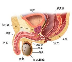 重庆曙光男科医院骗钱？ 淄博曙光医院看男科