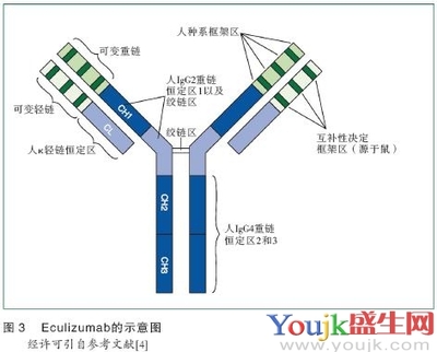 202阵发性睡眠性血红蛋白尿 阵发性睡眠血红蛋白尿