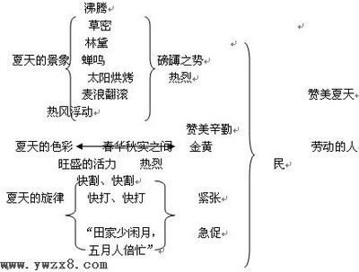 梁衡——《夏感》 梁衡夏感赏析