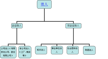 论非法人组织民事诉讼权利能力与民事权利能力的有限分离 法人民事权利能力