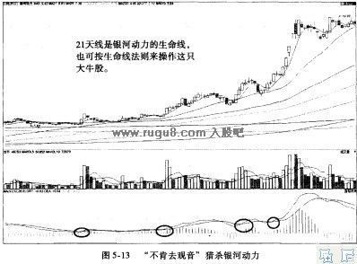 不肯去观音猎杀黑马技术 猎杀黑马电子书下载