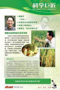 生物学家简介——袁隆平 袁隆平的故事简介