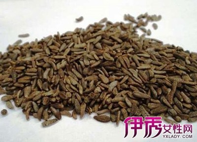 中药牛蒡的功效与作用简介 炒牛蒡子的作用与功效