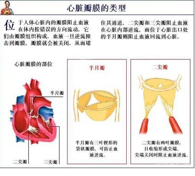 二尖瓣狭窄的症状是什么 二尖瓣狭窄的麻醉