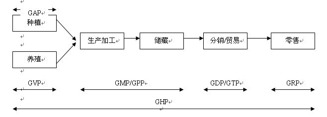 ISO22000与GMP、SSOP、HACCP的关系_ares haccp和iso22000区别