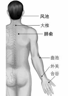 胃肠型感冒 中医治疗秘方 中医泰斗治疗牙痛秘方