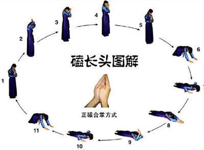 专辑：[X档案] 大全集【视频集系列】8 8步广场舞大全集