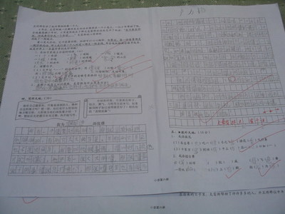 上学路上（2012初二期末考试作文） 初二期末考试作文2016