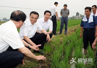 桐城市第八中学 桐城市人民政府网