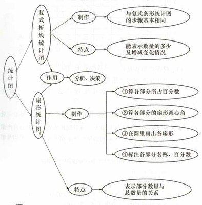 小学数学总复习知识整理（全）——作者:杨老师 来自:杨老师在线