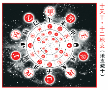 [转]１０天干和１２地支，都代表人体的哪些部位 天干地支怎么算