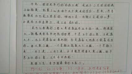 初中暑假周记600字8篇 初二暑假周记600字电脑