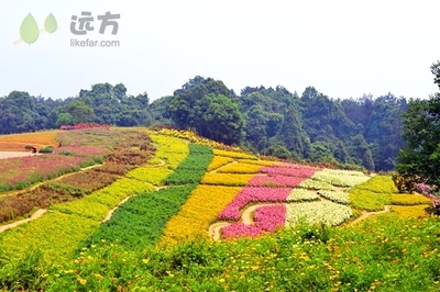 2012四川成都蒲江石象湖自助游攻略 蒲江石象湖