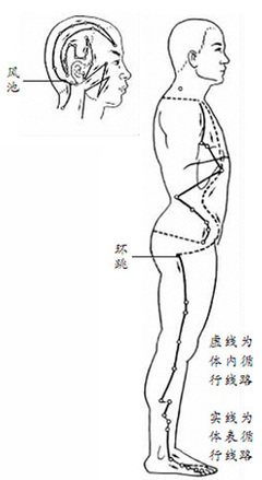 足少阳胆经穴位图、循行图及对应病症 足少阳胆经穴位视频