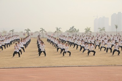 壮拳 广西狼兵军拳 2016年广西南宁太极拳