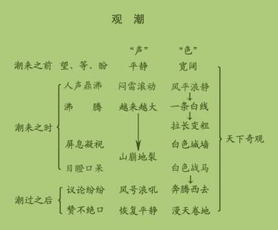 《观 舞 记》教学设计 观潮的教学设计