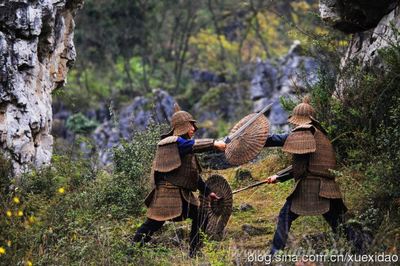 学习岛海派森林纯天然植物涂料之旅第二站：中国古代“桐油”在生