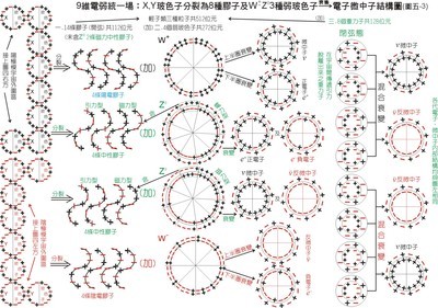 基本粒子 基本粒子有多少个