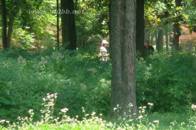 32度散步热啊夏天降临有点胸闷_钰迪钰迪 曾钰迪