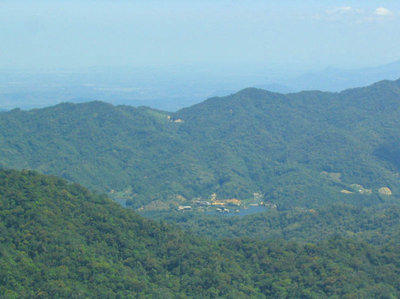 白马雪山高山杜鹃林 尖峰岭热带雨林